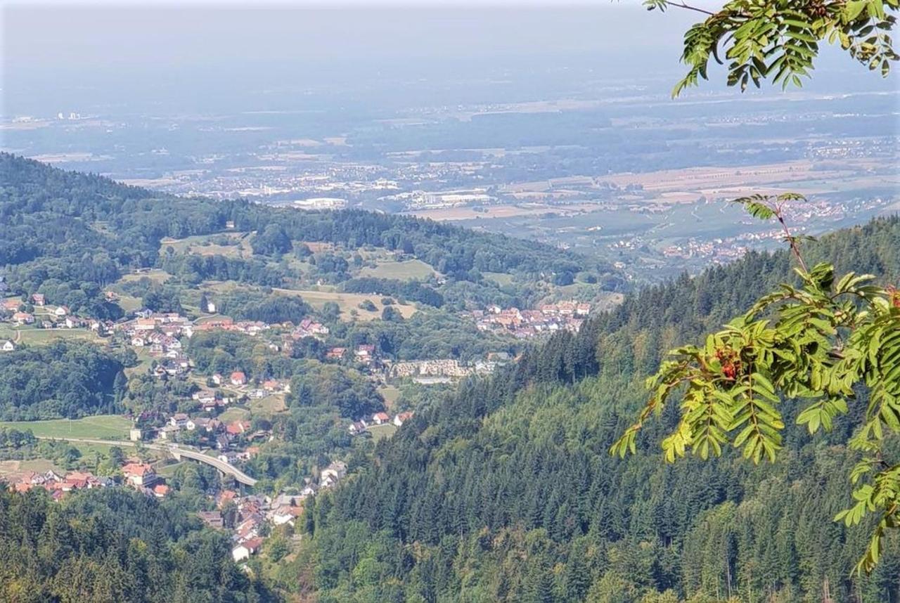Ferienwohnung Paradies Weier Εξωτερικό φωτογραφία